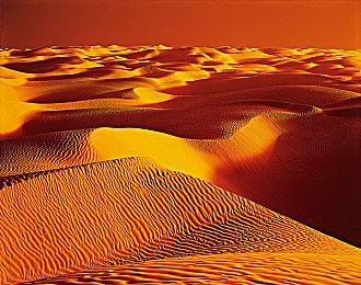 《战锤40K：星际战士2》科隆展实机演示视频赏